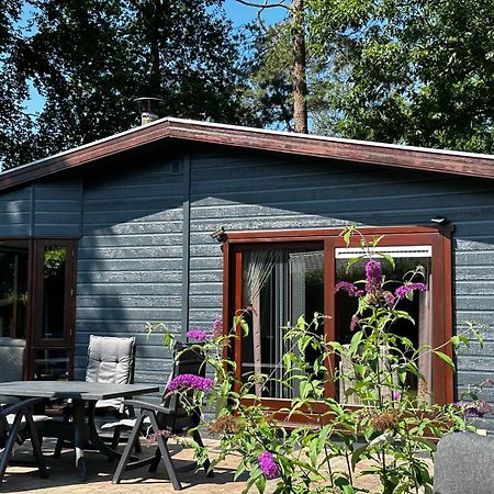 Dubbele Chalet Op Recreatiepark Topparken Op De Veluwe In Beekbergen Met Grote Vrije Tuin En Eigen Parkeerplaats エクステリア 写真