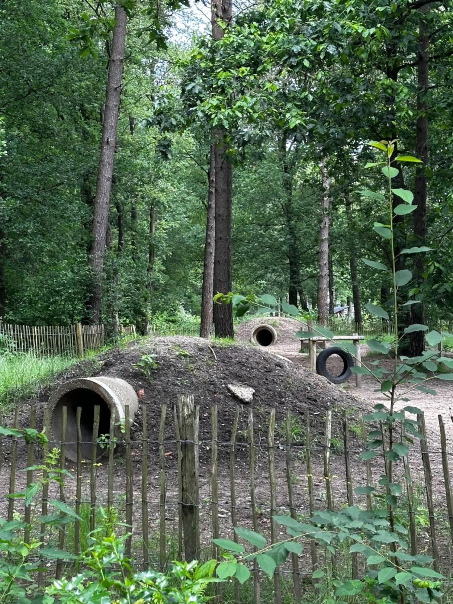 Dubbele Chalet Op Recreatiepark Topparken Op De Veluwe In Beekbergen Met Grote Vrije Tuin En Eigen Parkeerplaats エクステリア 写真